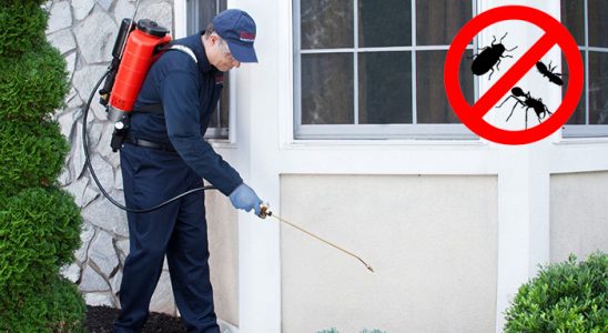 Urla Tahtakurusu İlaçlama böcek ilaçlama ve haşere kontrolü — ilaclama-tr.com